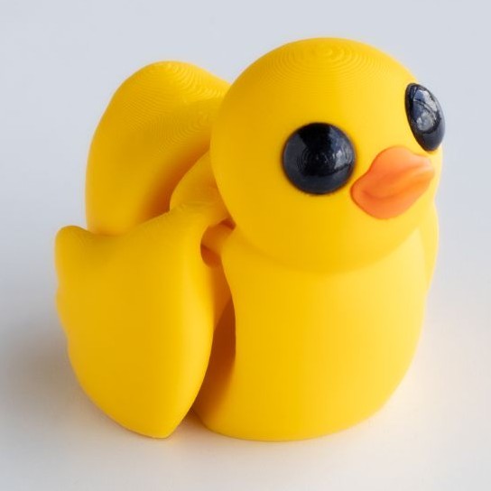 Duck